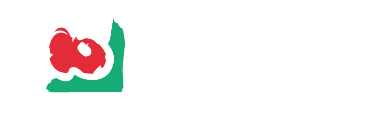 udaleku.eus